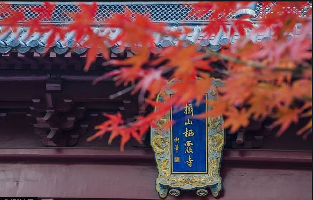 棲霞山楓葉換新顏，賞心悅目令人贊